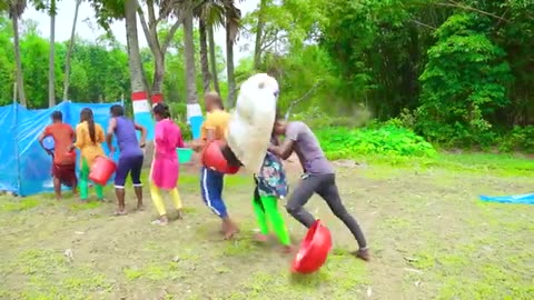 Special Don’t Miss New Unlimited Funny Viral Trending Video 2025 Episode by BD Funny