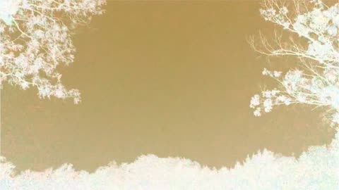 Thunder & lightning negative