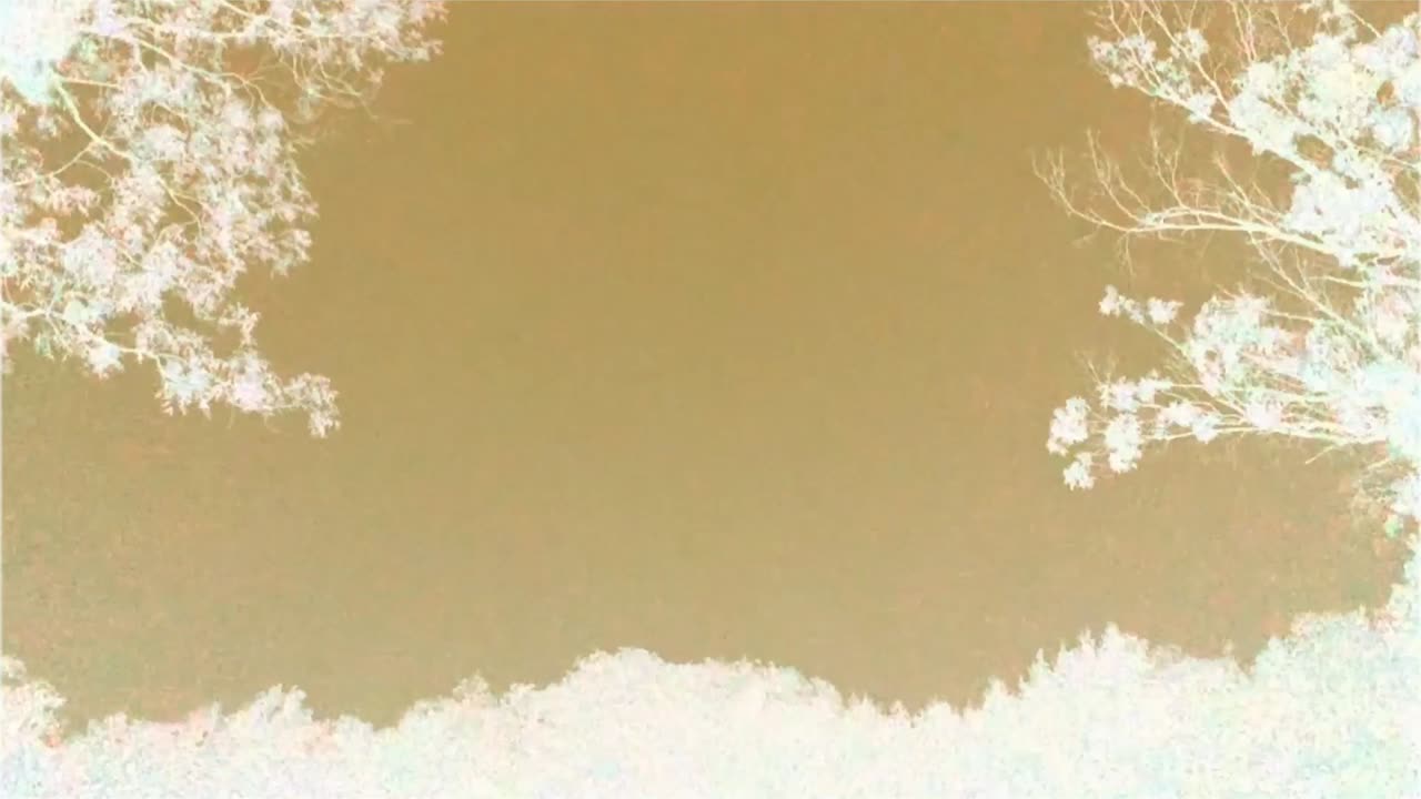 Thunder & lightning negative