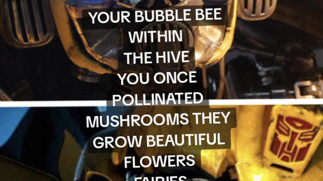 BUMBLEBEE IN YOU