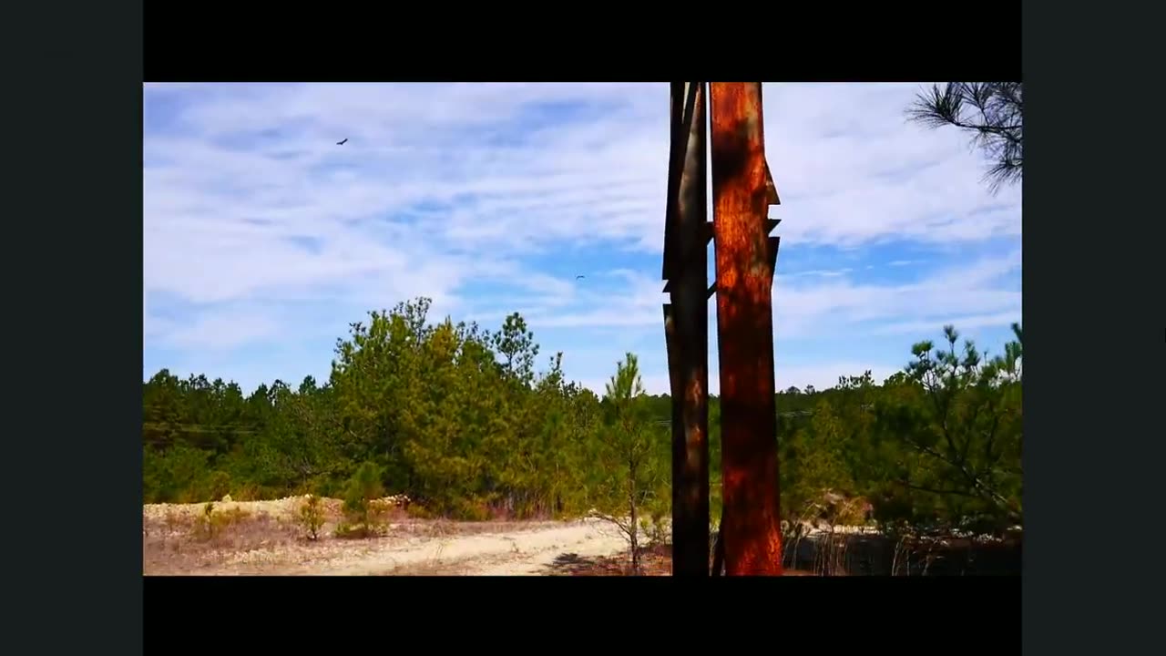 Sagun (AkTheSaviour)-Scars (Unoffical Video)