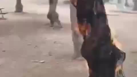 Strange Fires in Israel Indeed