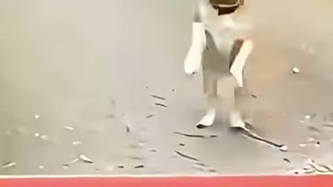 funniest dogs having a ruff day