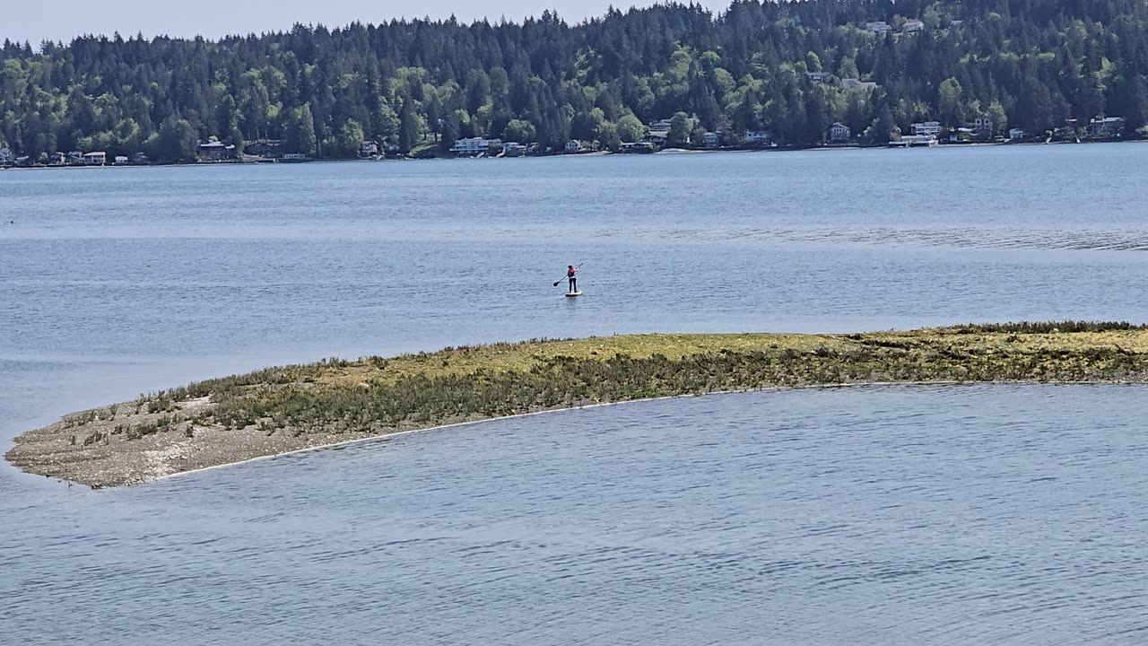 Paddle board and Afternoon vibe