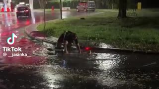 Hulajnogi elektryczne to jedno wielkie nieporozumienie i nieszczęście.
