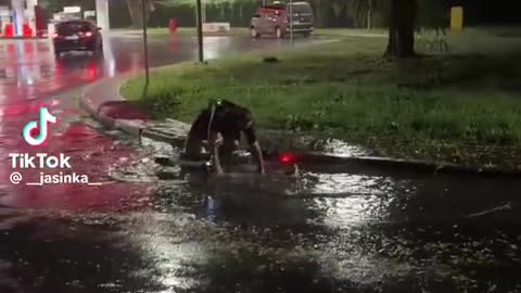 Hulajnogi elektryczne to jedno wielkie nieporozumienie i nieszczęście.