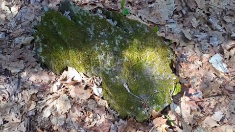 Rad Rock