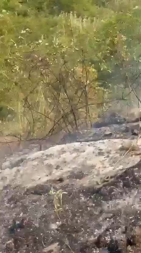 Mbi 50 vatra zjarri’/ Berisha: Ramaduro me satelit kontrollon tendat në betejë me Lalli Vjedhësin