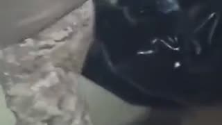 Inside a Bar Turned into a Russian Makeshift Morgue(Bakhmut Champagne Roo)