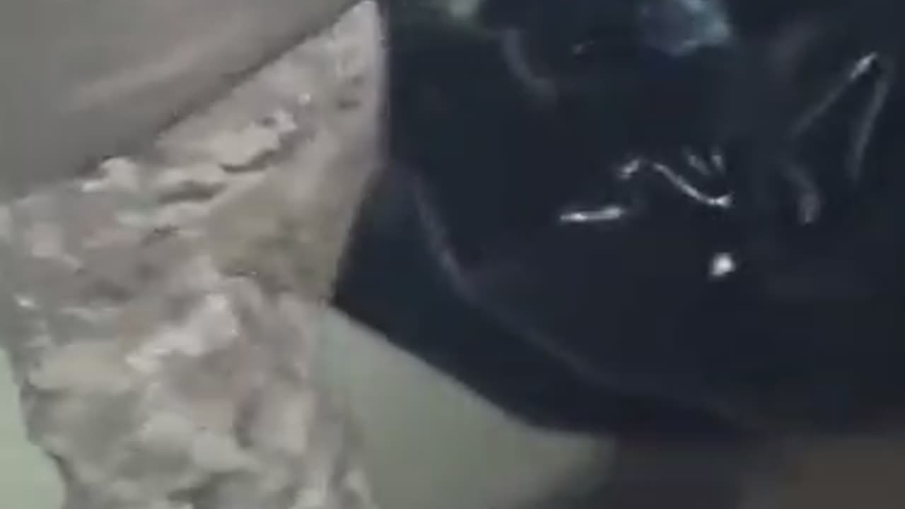Inside a Bar Turned into a Russian Makeshift Morgue(Bakhmut Champagne Roo)
