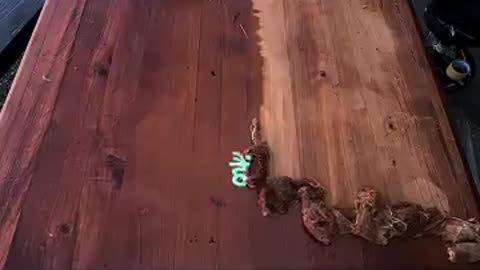 Motivation short