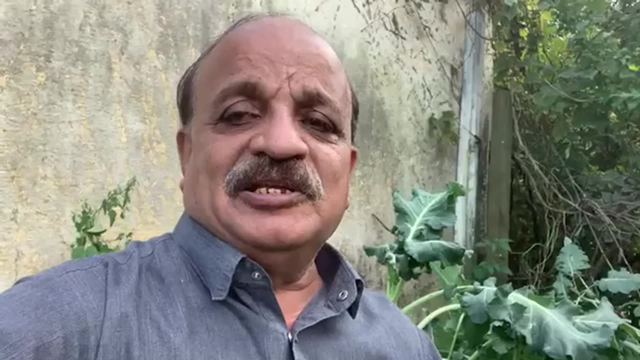 Holiday Family Barbecue at Our Backyard