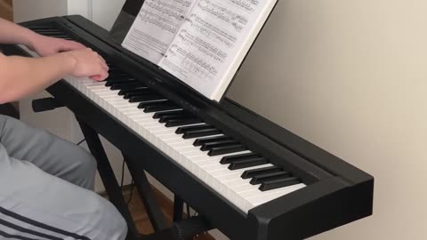 Prelude, Op. 28, No. 15 (Raindrop)