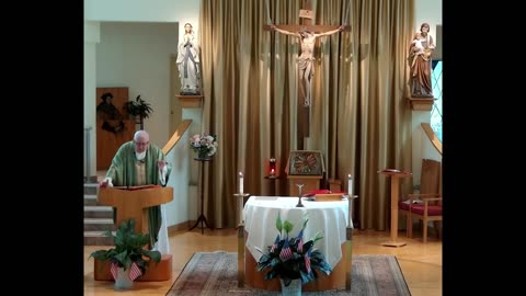 Homily for the 15th Sunday in Ordinary Time "C"