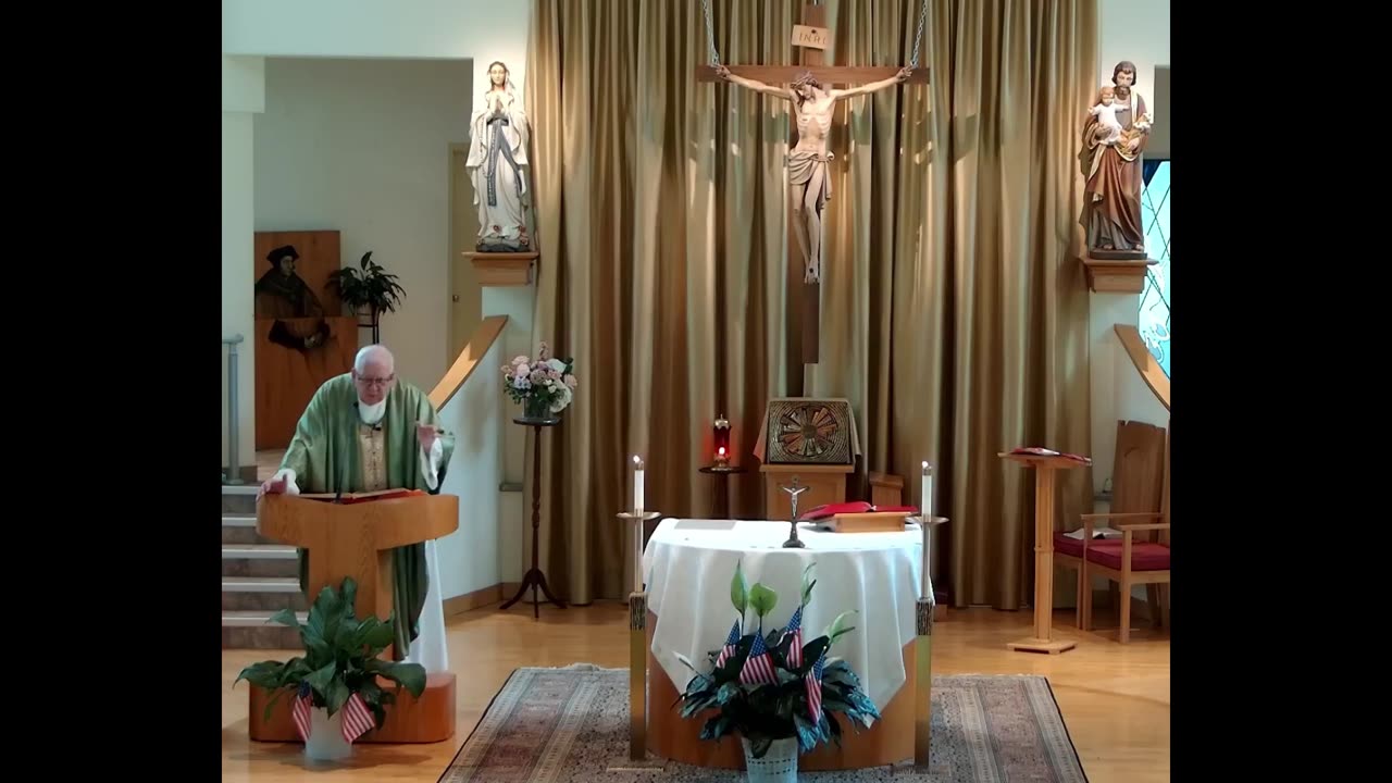 Homily for the 15th Sunday in Ordinary Time "C"