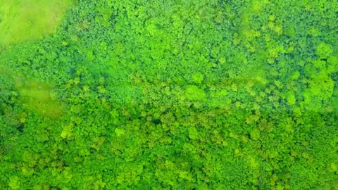 Instrumental Inspiration for Long Hours