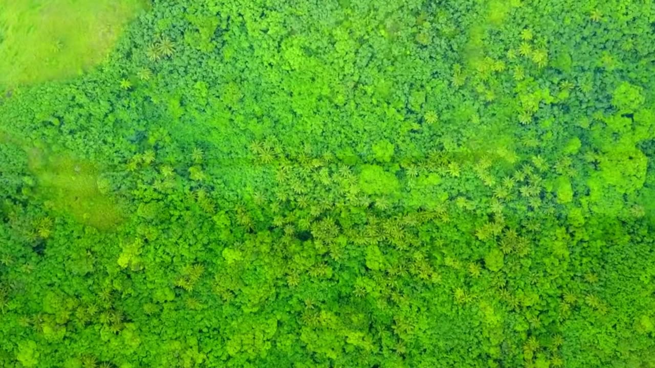 Instrumental Inspiration for Long Hours