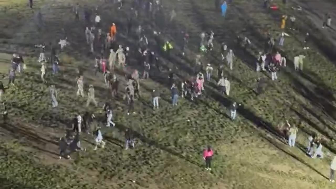 Nick Sortor - 🚨 HOLY CRAP! A massive group of “youths” are fighting with the Nation...