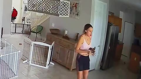 Full Dog's comedy Videos 🤣 so cute videos 😍