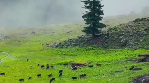 "You Won’t Believe This is Pakistan 🇵🇰 | Hidden Natural Paradise #Shorts"