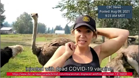Katie Pasitney - UOF on CBC News · Posted: Aug 09, 2021 9:23 AM MDT