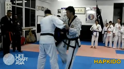 Hapkido