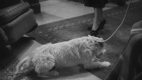 Me and My Gal (1932) Full movie | Comedy drama