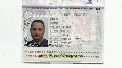 More evidence disclosed of the corruption in Ukraine - Zelenskyy implicated