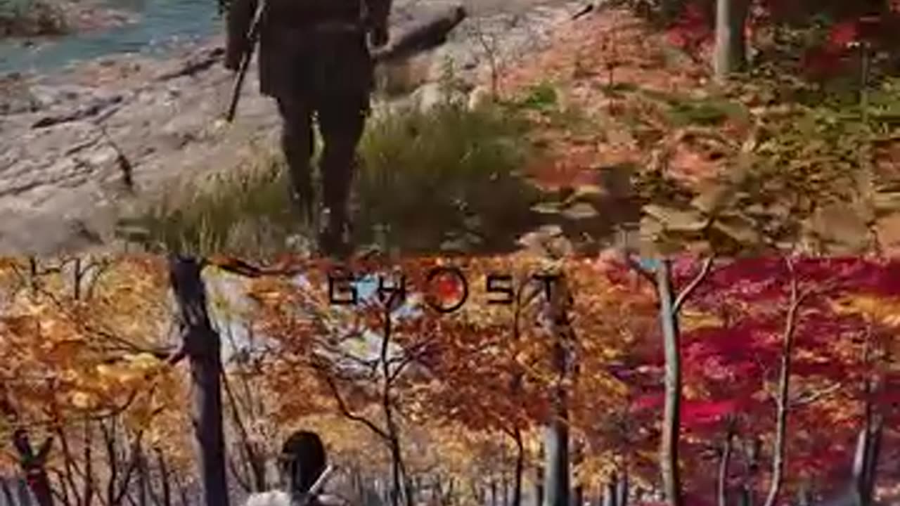 AC shadow and Ghost of Tsushima (max graphic)