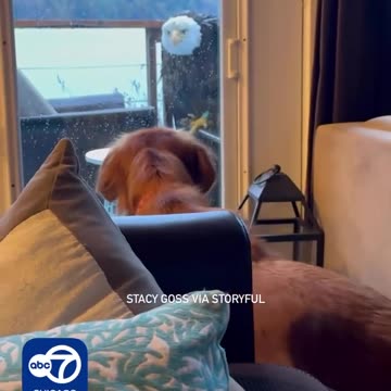 Yeah, pretty sure I would've shat myself