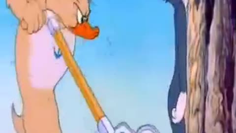 Tom and Jerry funny episode