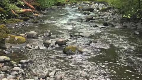 Beautiful World - Beautiful places in the World #shorts #shortsvideo #NaturalVideos #naturelover