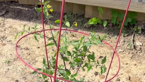 Garden 2025 Update 2