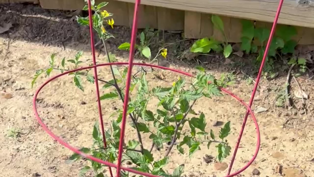 Garden 2025 Update 2