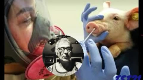 REPORT: LIKELY SWINE FLU ESCAPED FROM SPANISH LAB & INFECTED A SANDWICH