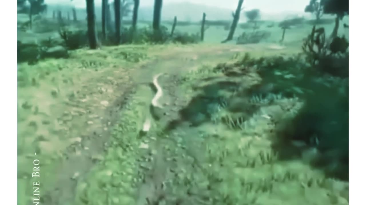 Never Give Up!