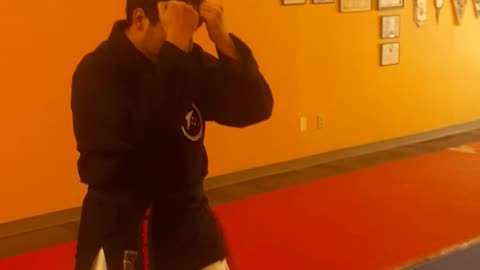 Tong Hap Kwan Hoshinsul Striking & Kicking Techniques