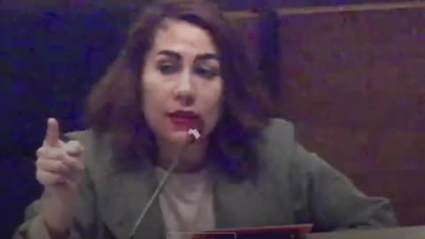 Bolivia: Diputada Salazar fue interrumpida con agresión física