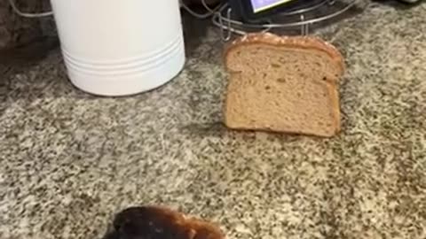 🎵😂 You Won't Believe How Perfect This Background Music Is! | FunFM