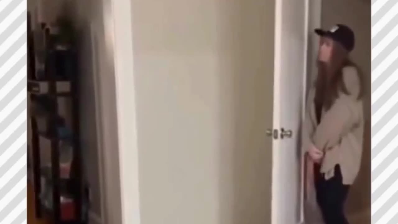 🐱💡 This Genius Cat Will Leave You Speechless! | FunFM