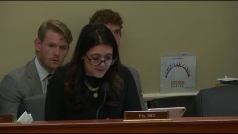 Rep. Bice questions witnesses at California ballot counting hearing