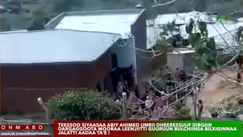 Qophii Addaa ONM-ABO Ebla 29-2025 itti dhiyaadhaa!