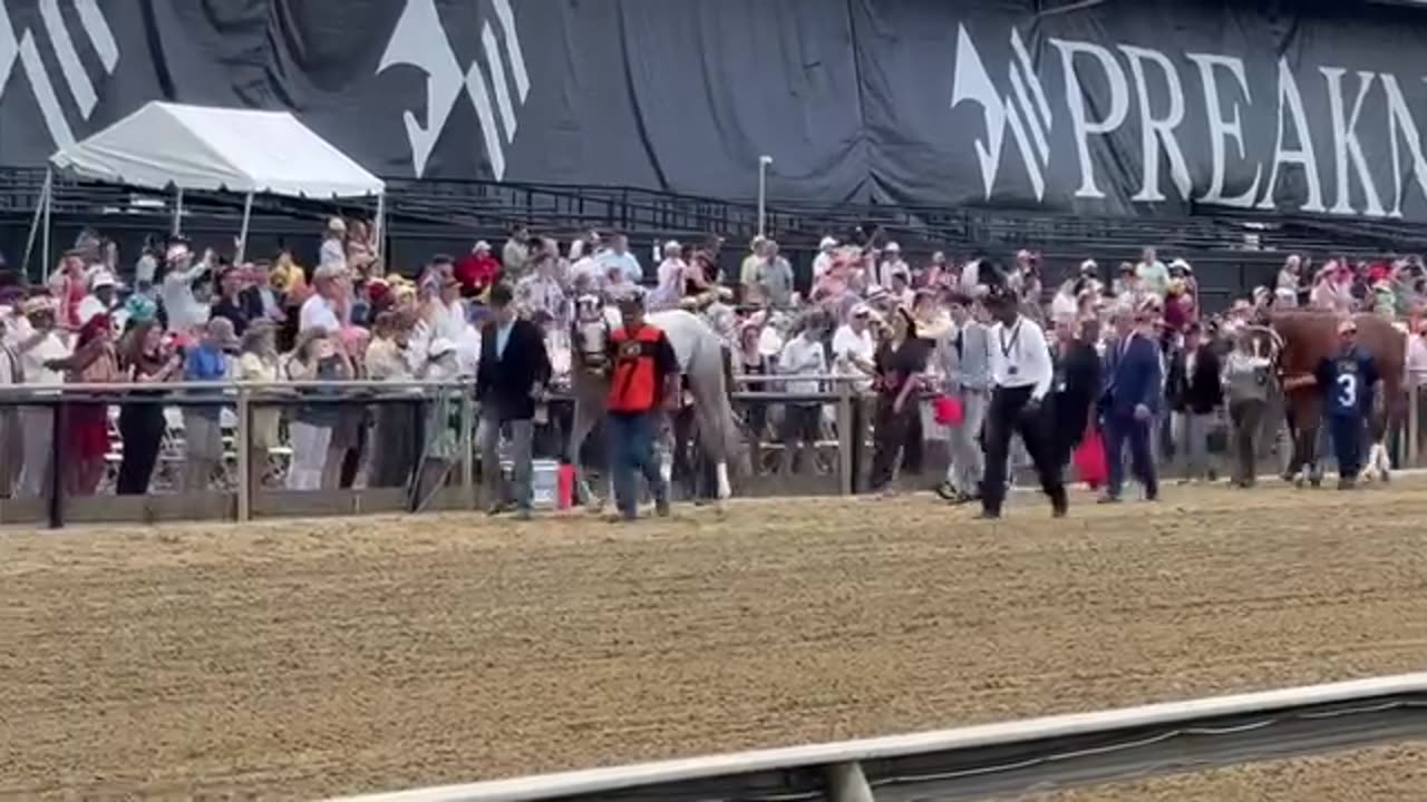 PREAKNESS 2025