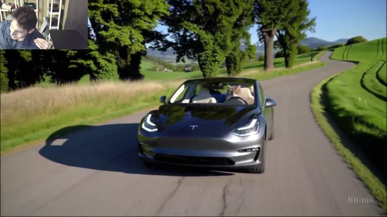 The Cat Drives A Tesla Model 3 Car On The Roadway Fake Funny Parody Video With Live Commentary