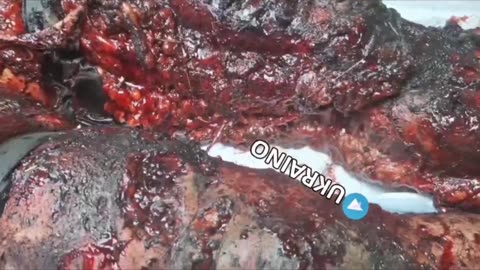 Ukraine Russia war combat/related footage 12/7/2025