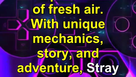 Stray Steam Review