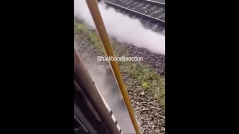 More reasons why Australia is awesome