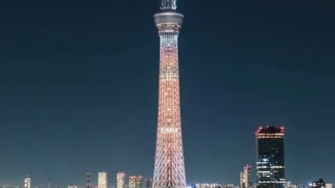 🏙️ Tokyo: The Largest City by Population #shortsfact #generalfact #tokyo