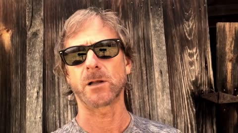 The Day That Butterflies Flitted in a Halo Around My Head