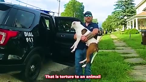 Dog Owner Fights The Entire Neighborhood